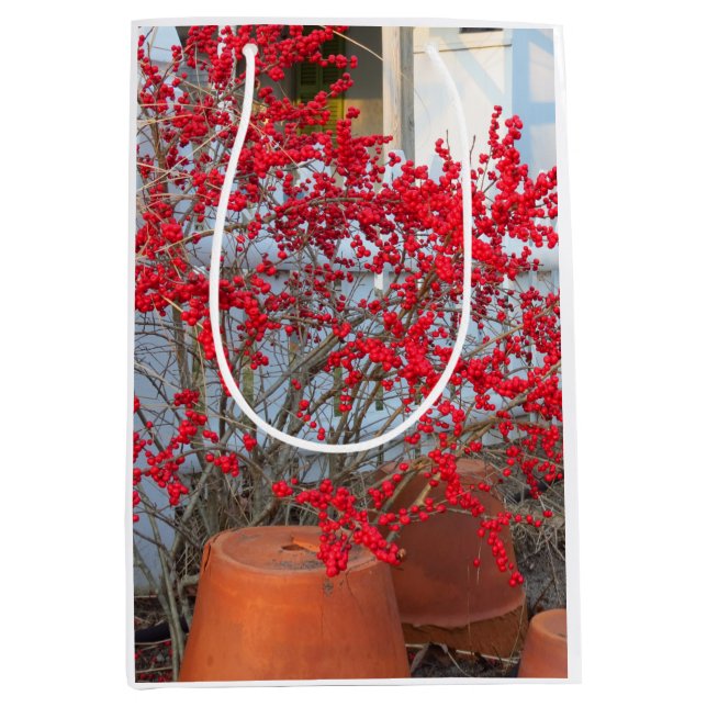 Red Winter Berries - Martha's Vineyard Mittlere Geschenktüte (Vorderseite)
