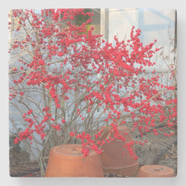 Red Winter Berries - Martha's Vineyard Steinuntersetzer