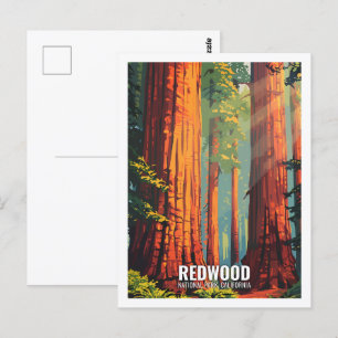 Red Wood National Park California USA Postkarte