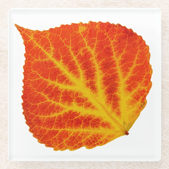 Red & Yellow Aspen Leaf #10 Glasuntersetzer (Vorderseite)
