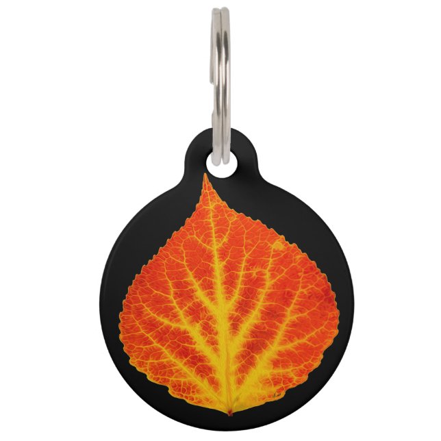 Red & Yellow Aspen Leaf #10 Haustiermarke (Vorderseite)