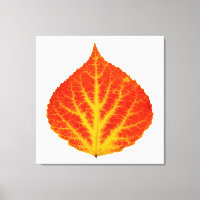 Red & Yellow Aspen Leaf #10