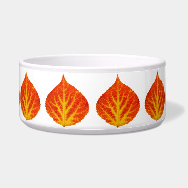 Red & Yellow Aspen Leaf #10 Napf (Vorderseite)