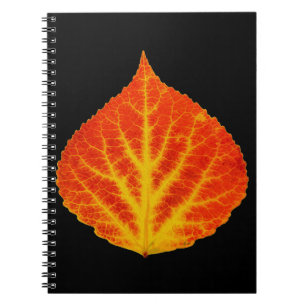 Red & Yellow Aspen Leaf #10 Notizblock