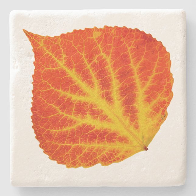 Red & Yellow Aspen Leaf #10 Steinuntersetzer (Vorderseite)