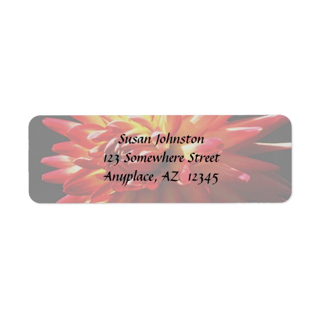 Red Yellow Dahlia Blume Address Label (Vorne)