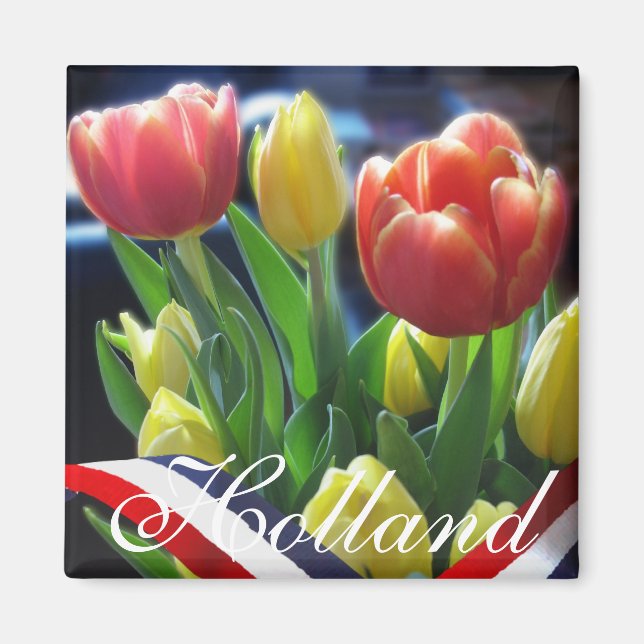 Red Yellow Dutch Tulips Holland Kühlschrankmagnet (Vorne)