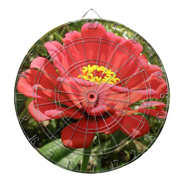 Red Zinnia Dart Board Dartscheibe (vorne)