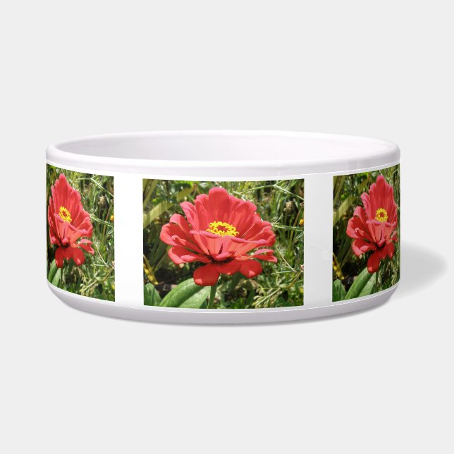 Red Zinnia Dog Bowl Napf (Vorderseite)