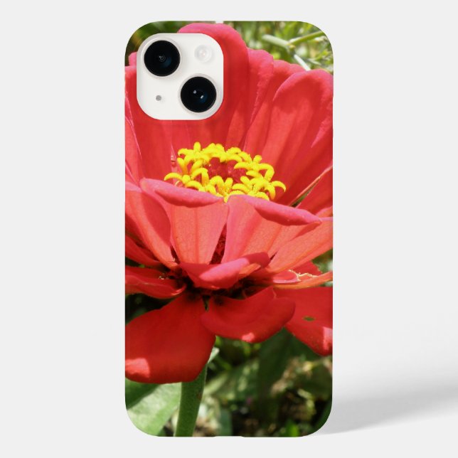 Red Zinnia iPhone 4 Fall Case-Mate iPhone 14 Hülle (Rückseite)