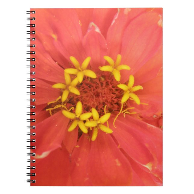 Red Zinnia Macro Notebook Notizblock (Vorderseite)