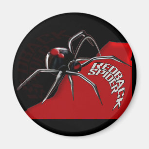 Redback-Spinne Magnet