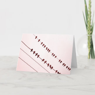 "Redbirds" auf Draht Feiertagskarte