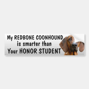 Redbone Coonhound - intelligenter als Student - Autoaufkleber