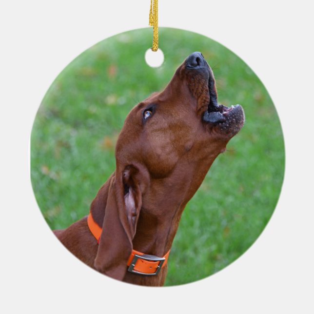 Redbone Coonhound Keramik Ornament (Hinten)