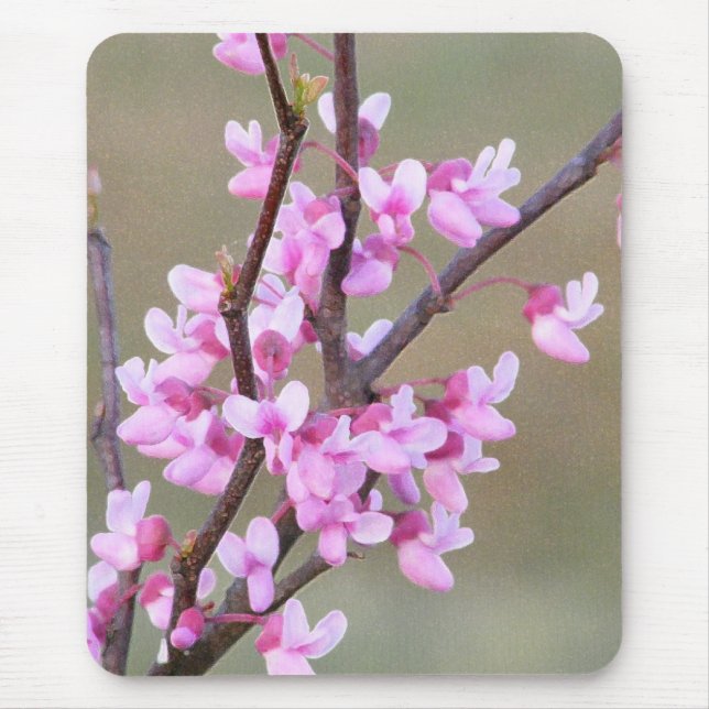 Redbud Blüte Mousepad (Vorne)