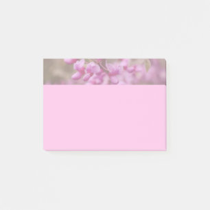 Redbud-Blüten Post-it Klebezettel