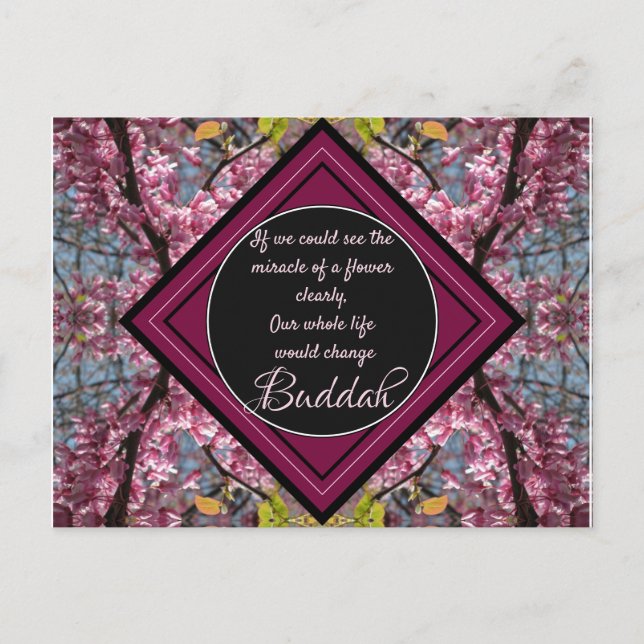 Redbud Branches Budda Blume Zitat Postkarte (Vorderseite)