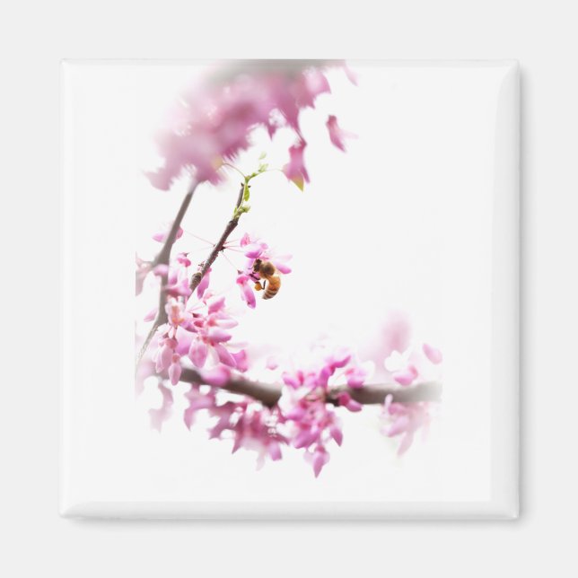 Redbud & Honeybee-8742 Magnet (Vorne)