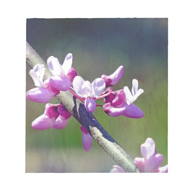 RedBud Notizblock (Vorderseite)