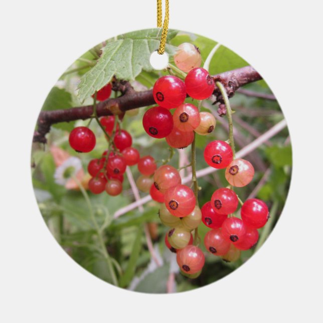 Redcurrant Keramik Ornament (Vorne)
