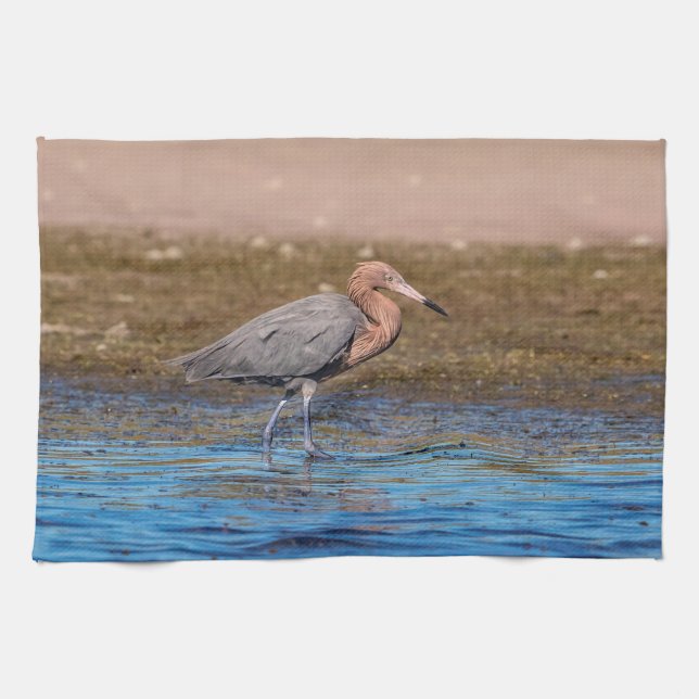 Reddish Egret am North Beach Handtuch (Horizontal)