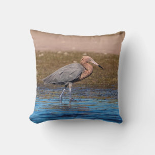 Reddish Egret am North Beach Kissen