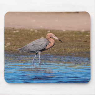 Reddish Egret am North Beach Mousepad