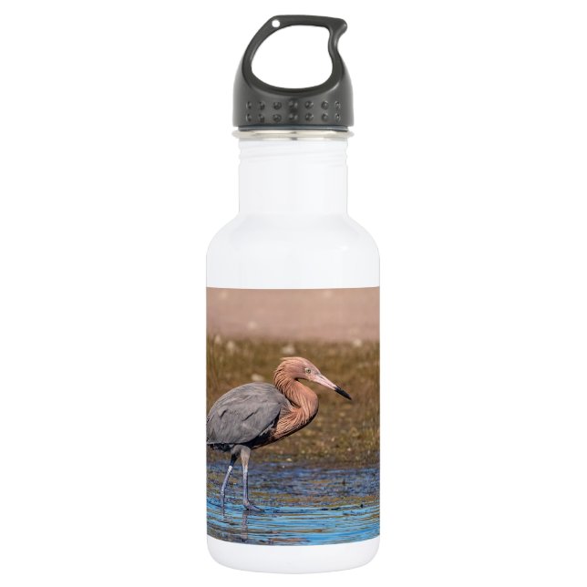 Reddish Egret am North Beach Trinkflasche (Vorderseite)