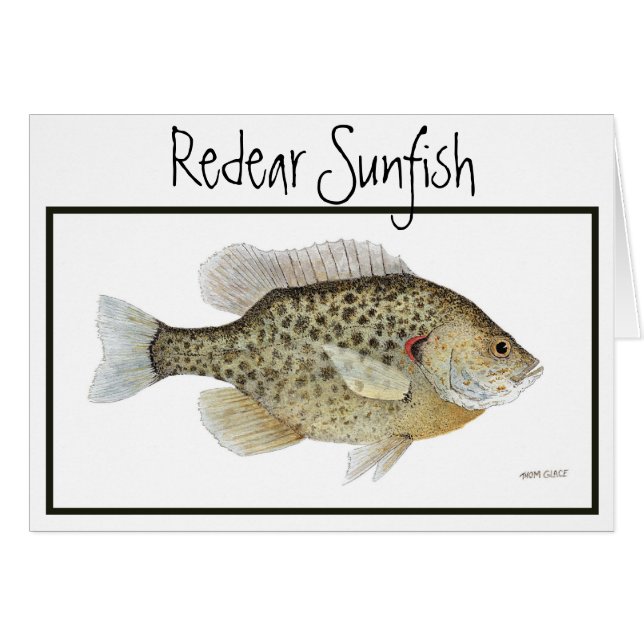 Redear Sunfishkarte (Vorderseite (Horizontal))