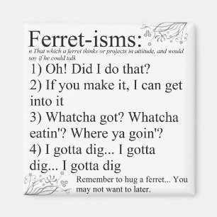 Redewendungen von Ferret Pictures und Zitate Magnet