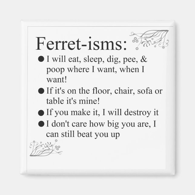 Redewendungen von Ferret Pictures und Zitate Magnet (Vorne)