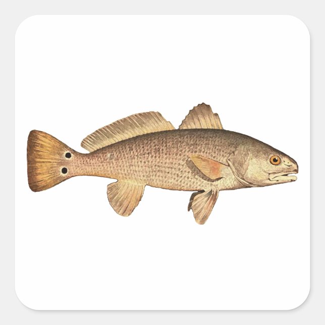 Redfish Logo Quadratischer Aufkleber (Vorderseite)