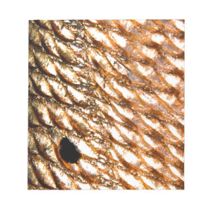 "Redfish" - Red Drum by PatternWear© Notizblock