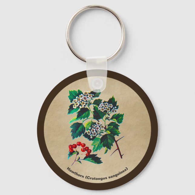 Redhaw Hawthorn über altes Papier Schlüsselanhänger (Vorderseite)