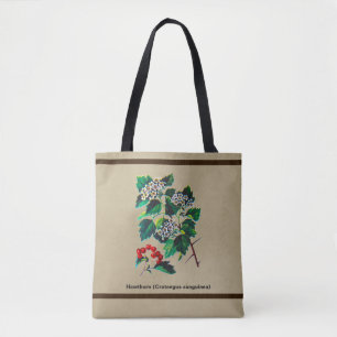Redhaw Hawthorn über altes Papier Tasche