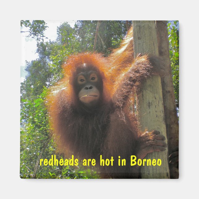 Redheads sind Hot Spaß Magnet (Vorne)