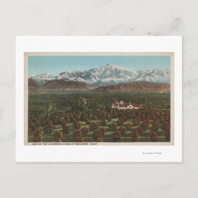 Redlands, CA - Berg- und Obstgarten-Szene Postkarte (Vorderseite)