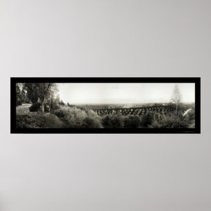 Redlands California Foto 1907 Poster