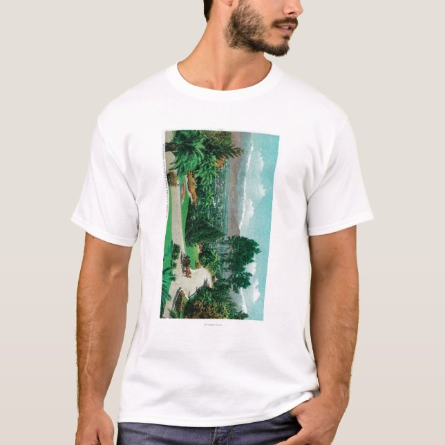 Redlands Tal und Obstgärten vom smiley T-Shirt (Vorderseite)