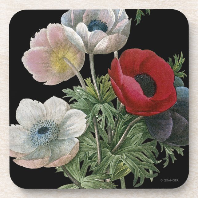 Redoute: Anemone, 1833 Untersetzer (Vorderseite)