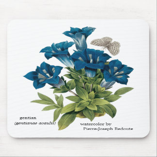 Redoute blaue Blume Mousepad