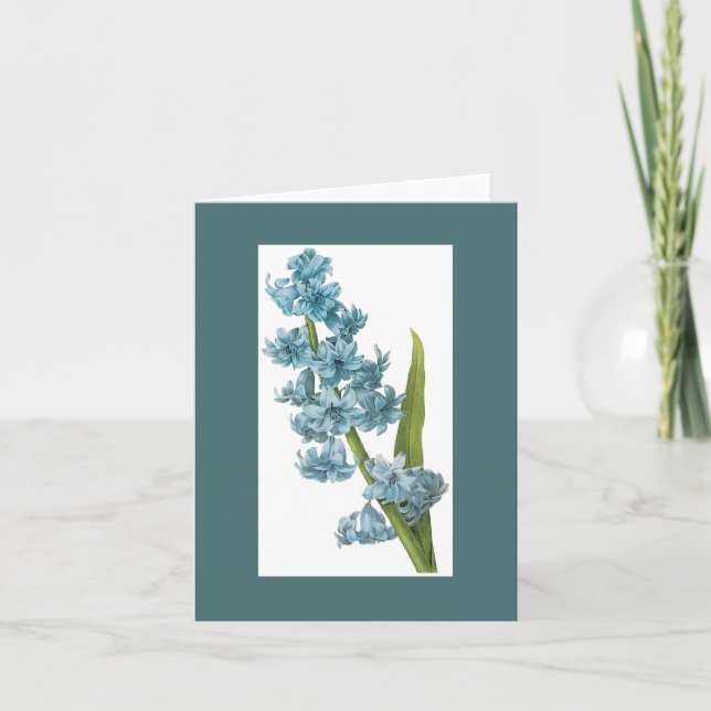 Redoute Blue Hyacinth Notecard Karte (Vorderseite)