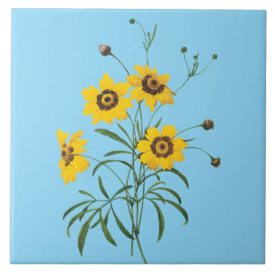 Redoute Coreopsis-Blumenfliese Fliese