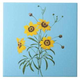 Redoute Coreopsis-Blumenfliese Fliese