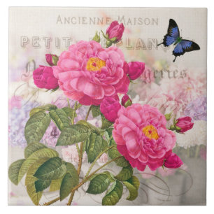 Redoute französische rosa Rosen-Keramik-Fliese Fliese