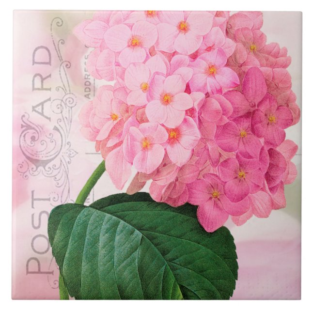 Redoute French Pink Hydrangea Keramik Tile Fliese (Vorderseite)