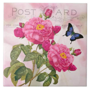Redoute French Pink Roses Keramik Tile Fliese