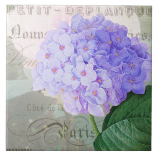 Redoute Hydrangea French Accent Keramik Tile Fliese