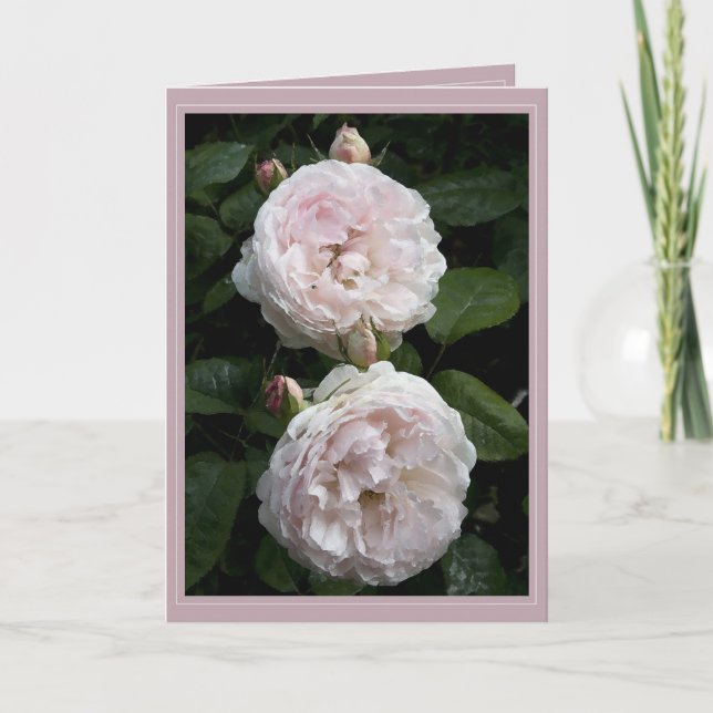 Redoute Karte II (Vorderseite)